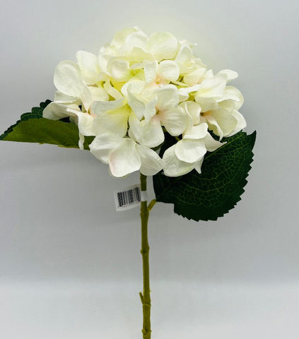 Hydrangea Stem White