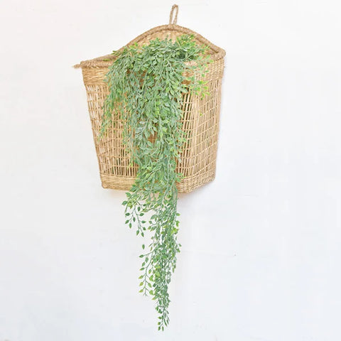 Hanging Sysygium Stems 32"