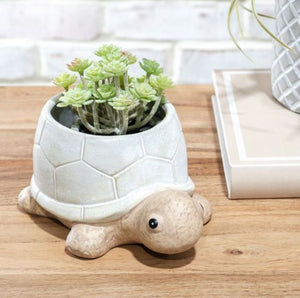 Turtle Ceramic Planter 7"