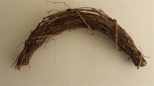 Grapevine Arch 14
