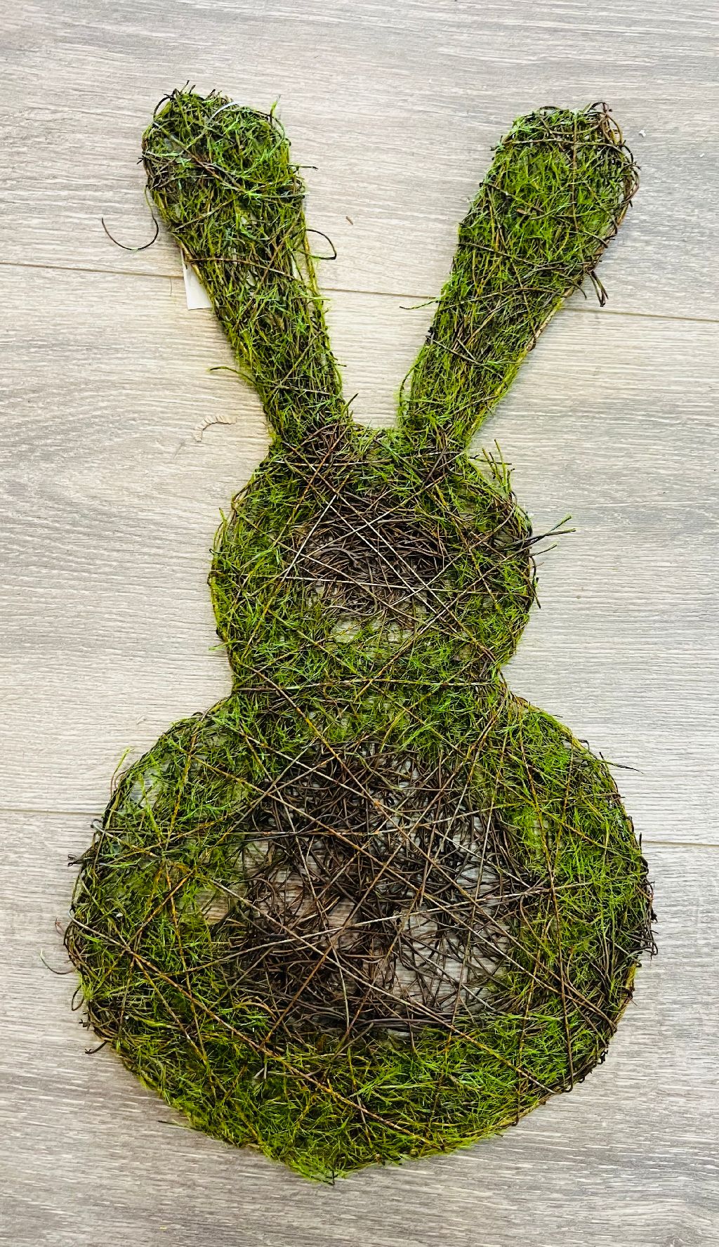 Rattan/moss Rabbit Wreath 14"