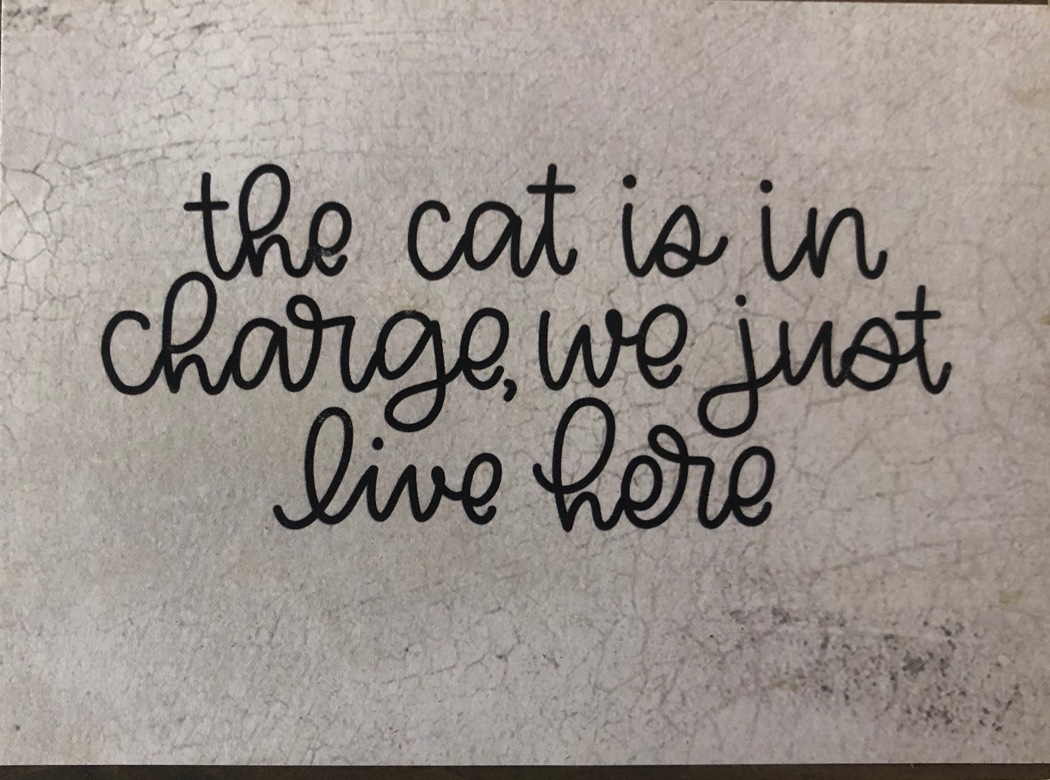 The Cat Is In Charge 3 x 4 Block Sign
