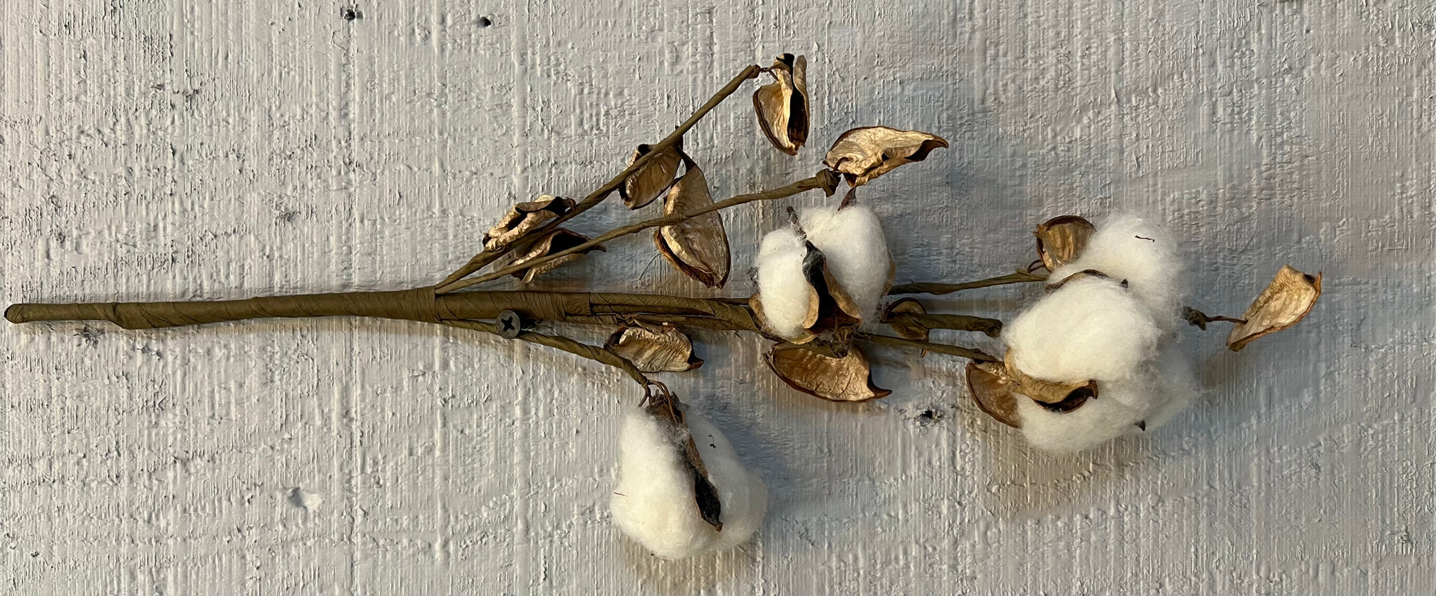 Cotton Pick w/shells 14"